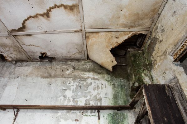 Water Damage Service in Waterford