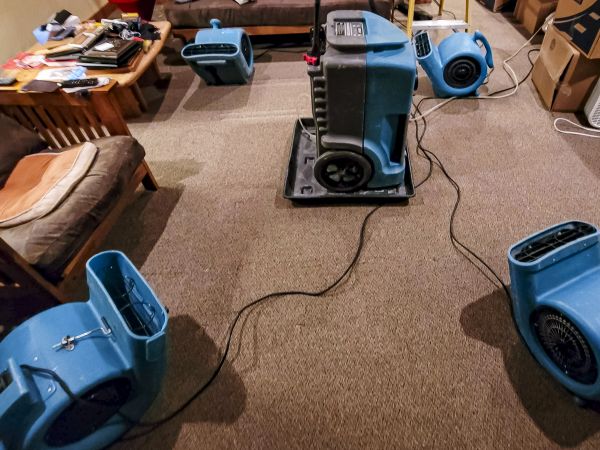 Flood Damage Recovery in Waterford