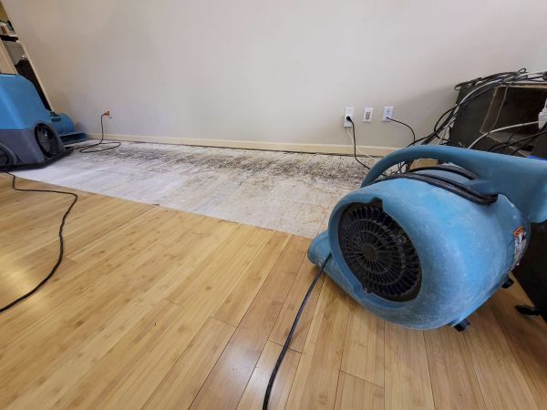 Water Damage Mitigation in Waterford