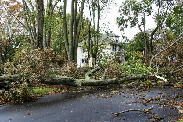 Tornado Damage Repair in Waterford