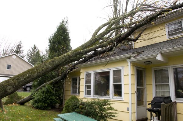 Hurricane Damage Repair in Waterford
